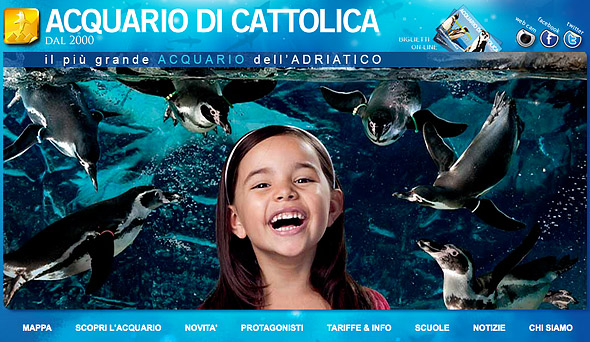 Reportage_July_workshop_at_Aquario_di_Cattolica_egbk
