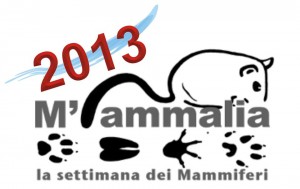 mamalia